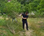 Вихідні в сквері Тарасова: вуличні меблі та толока