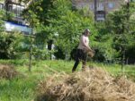 «Clean & Dance»: як небайдужі запоріжці прибирали у сквері Тарасова під музику