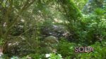 Каналізаційні стоки чи забруднена водойма на Павло-Кічкасі: що таїть в собі балка Маркусова