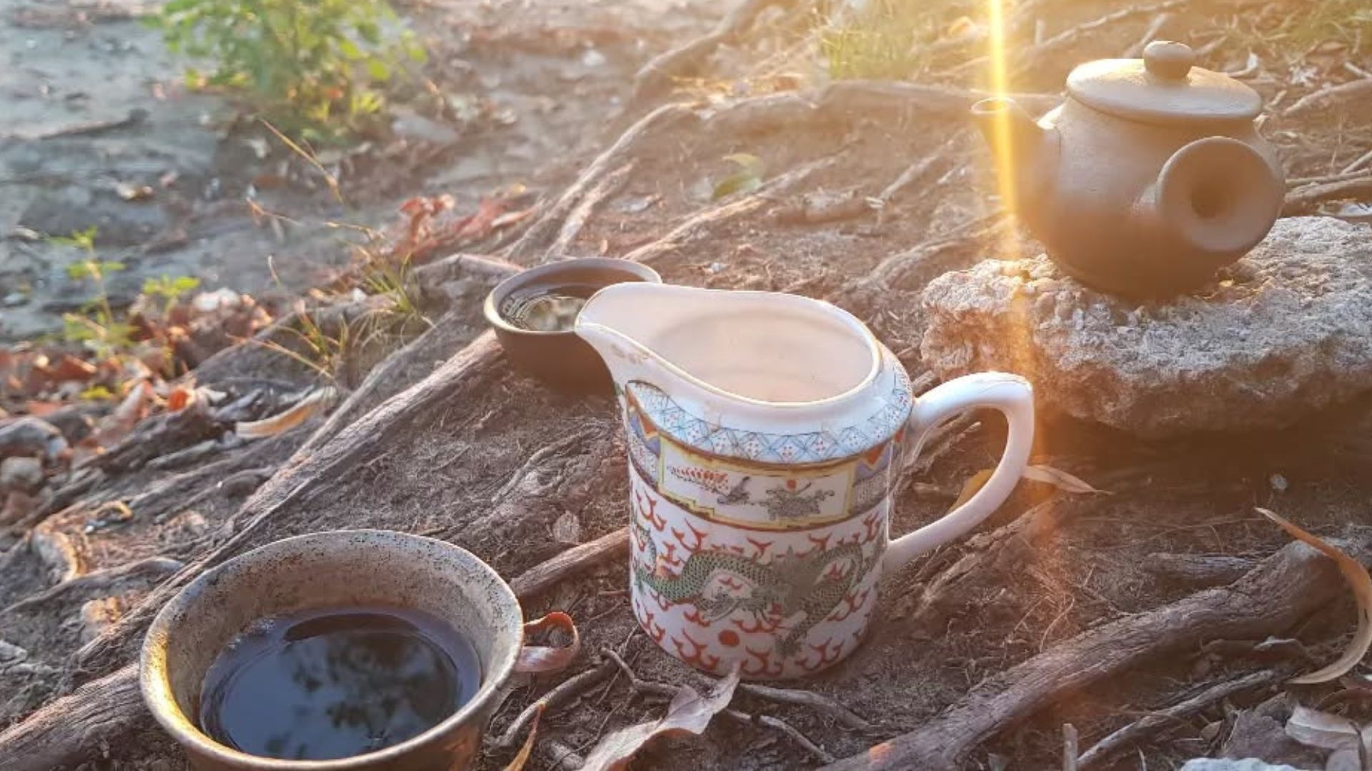 Запорізький чайний клуб: коли чай – більше, ніж напій