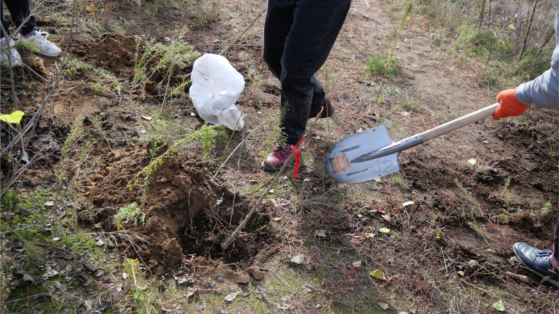 «Палаюча Москва» на берегах Сухої: як запоріжці рятують річку бузковою толокою