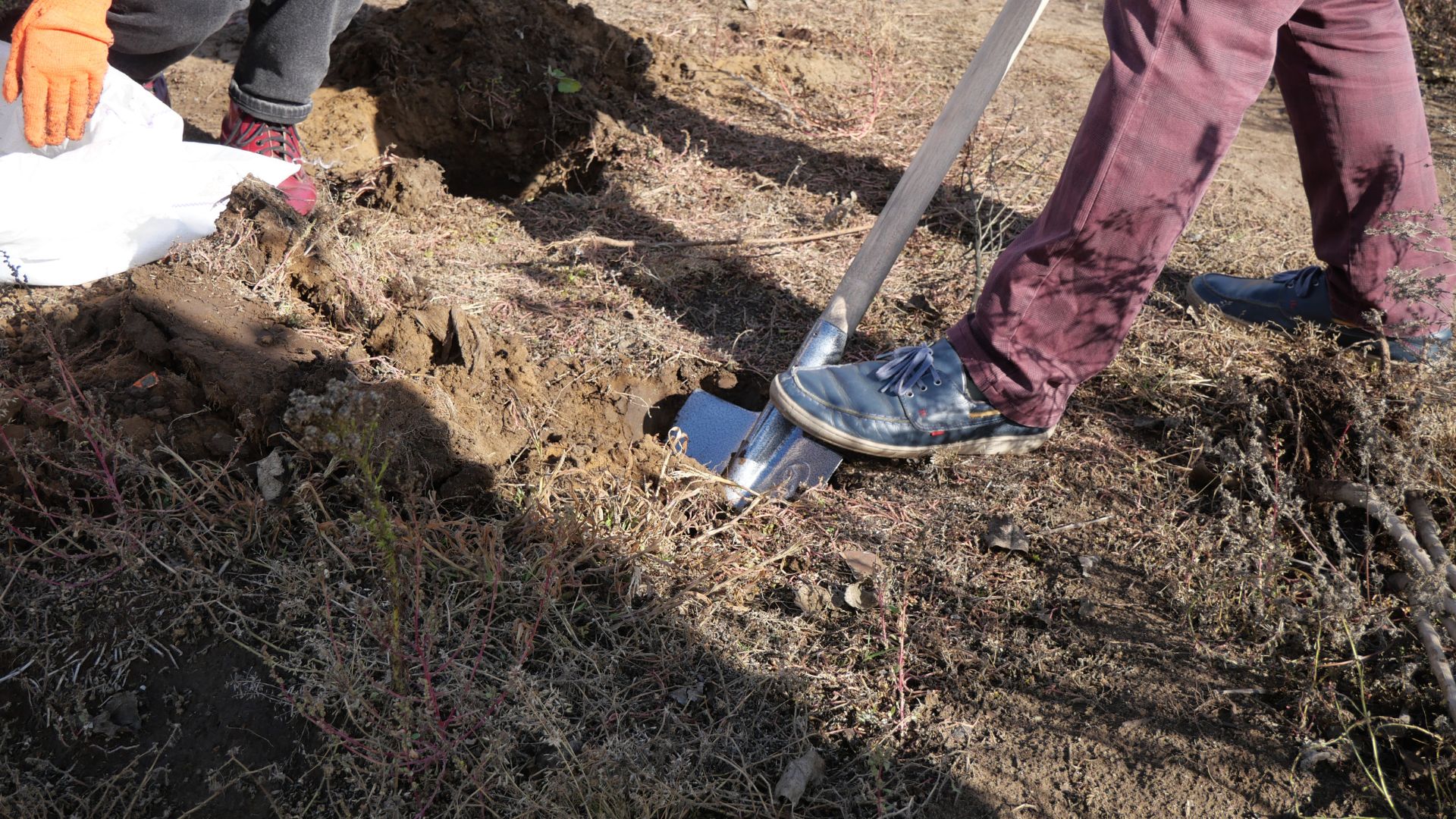«Палаюча Москва» на берегах Сухої: як запоріжці рятують річку бузковою толокою