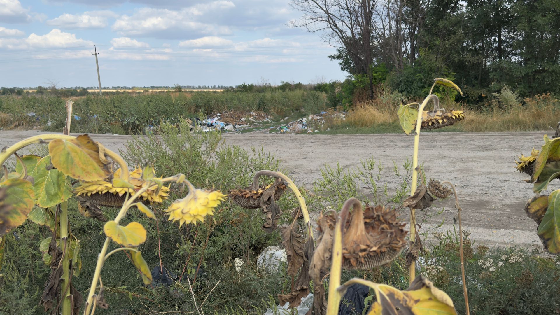 Узаконене сміття: як у Тернуватській громаді смітники біля водойм і полів стали «тимчасовими майданчиками»