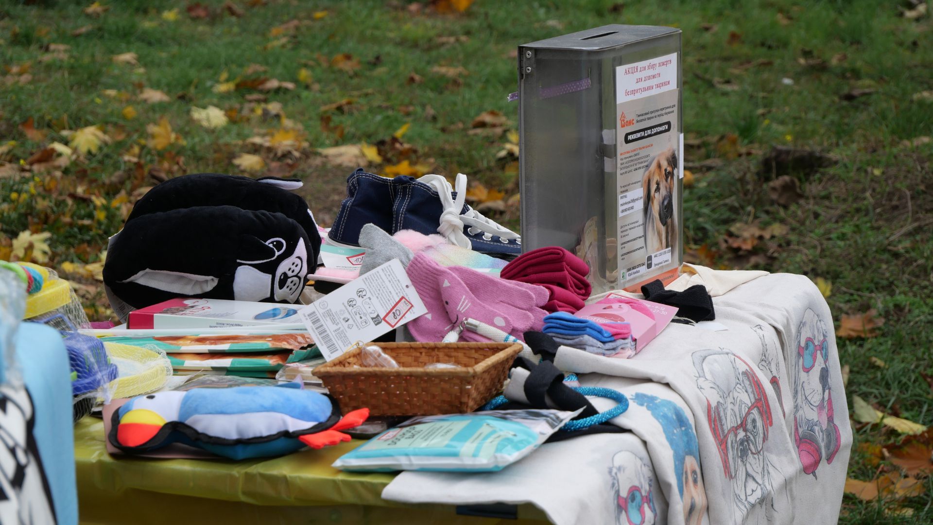 Тепло сердець і лап: у сквері Тарасова відбувся благодійний захід у підтримку притулку «Шанс»