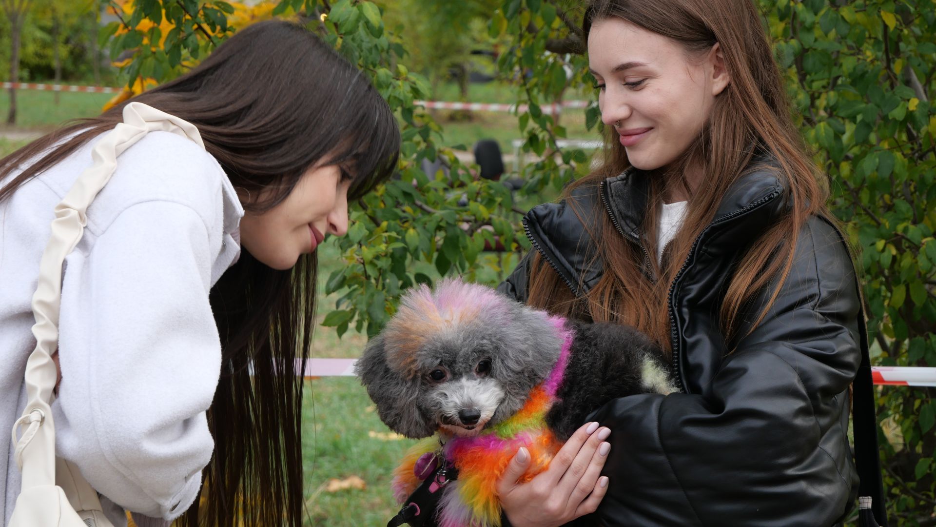 Тепло сердець і лап: у сквері Тарасова відбувся благодійний захід у підтримку притулку «Шанс»