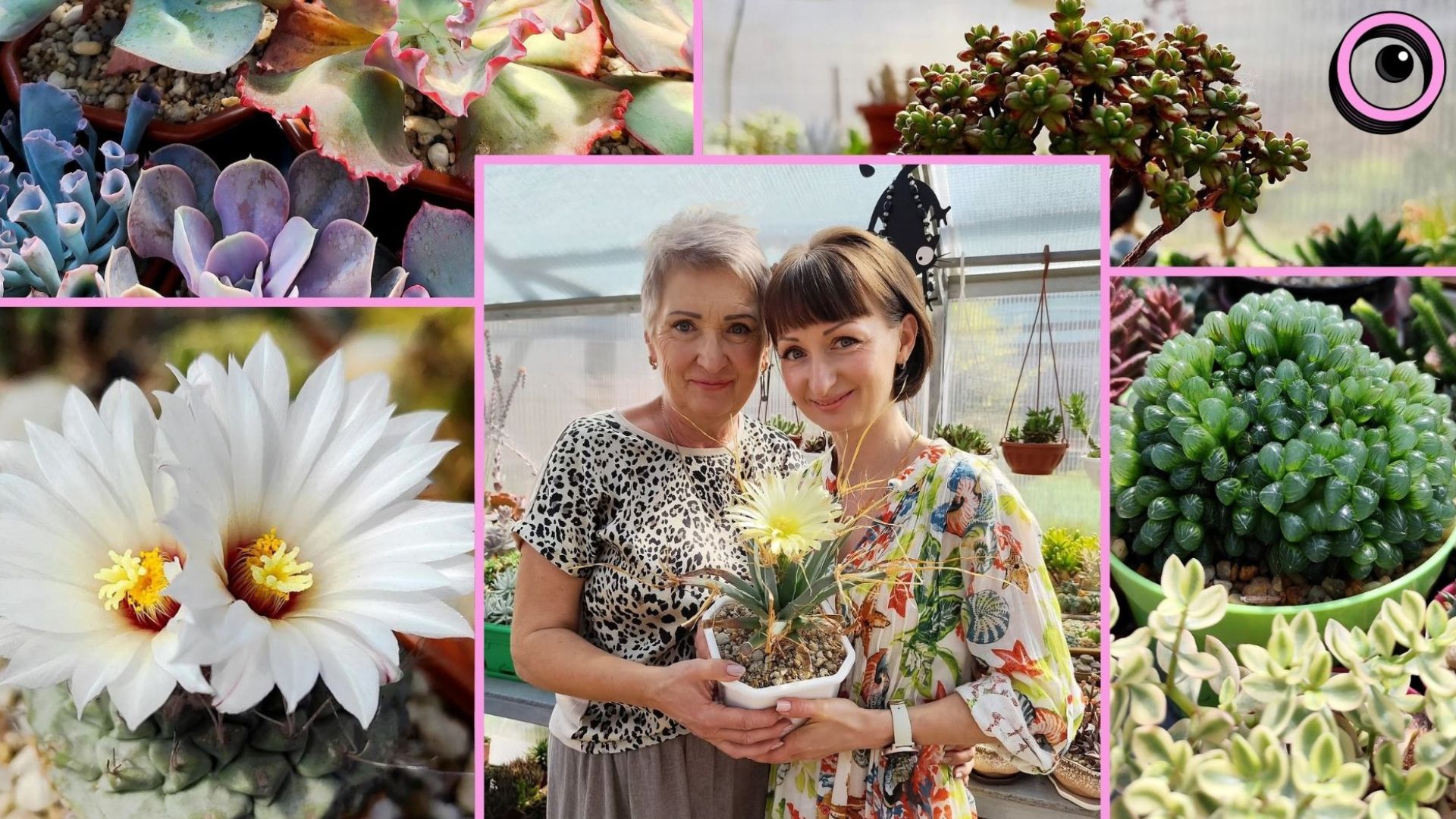 Сукуленти як сімейна спадщина: історія колекціонерок рослин із Запоріжжя